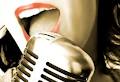 Idol Maker Sunshine Coast Mobile DJ Hire - Weddings - Karaoke and Party DJ Hire logo