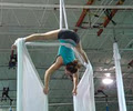 Industry Aerial Arts logo