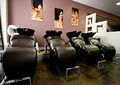 Insignia Hair & Day Spa image 3