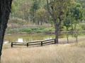 Ironbark Park Kennels and Cattery logo