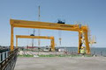 JDN MONOCRANE image 3