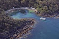 Jervis Bay Whale and Dolphin Eco Adventures image 3