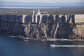 Jervis Bay Whale and Dolphin Eco Adventures image 6