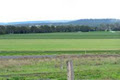 Lea Taylor Pastoral PL Rural Property Agents image 3