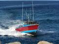 Lighthouse Charters logo