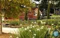 Macquarie Park Cemetery and Crematorium image 5