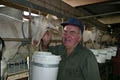 Maleny Dairies image 4