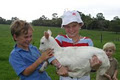 Maleny Dairies image 5