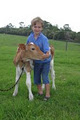 Maleny Dairies logo