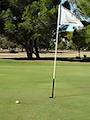 Mannum Golf Club logo