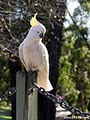 Maroondah Reservoir Park image 2