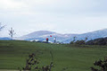 Melville Golf Centre logo