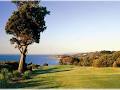 Mornington Golf Club image 5