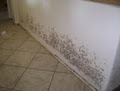 Mould sanitise removers Brisbane image 3