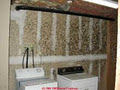 Mould sanitise removers Brisbane image 1