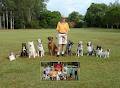 Obedience Dog Club of Brisbane image 4