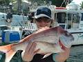 Offshore Reef and Game Fishing Mooloolaba image 3