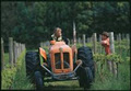 Oranje Tractor Wines logo