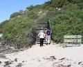 Penguin Island Boardwalks and Walk Trail image 2