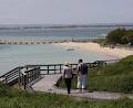 Penguin Island Boardwalks and Walk Trail logo