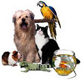 Pet Sitting Brisbane image 4