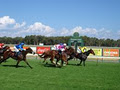 Pinjarra Race Club Inc / Pinjarra Park image 5