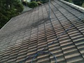 Pinnacle Roof Restoration image 6