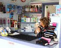 Pooch Grooming Salon image 3