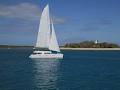 Port Douglas Reef Tours with Aquarius image 1