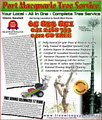 Port Macquarie Tree Service image 4