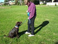 Positive Paws Dog Training image 2