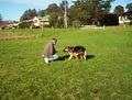 Positive Paws Dog Training image 6