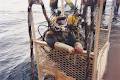 Reeves Commercial Divers PTY LTD Commercial Diving Services image 1
