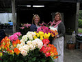 Robertson's Farmgate Flowers & Produce image 4