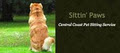 Sittin' Paws Central Coast Pet Sitting Services logo