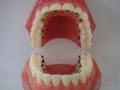 South Tweed Orthodontics logo
