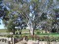 St Hallett Wines image 3