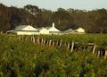 St Leonards Vineyard image 5