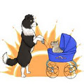 Sunshine Pet Nannies image 1