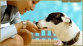 Sydney Pet Sitters logo