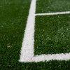 Synthetic Grass, Turf logo