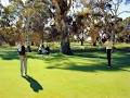 Tanunda Pines Golf Club logo