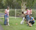 Teamwork Dog Obedience image 2