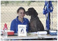 Teamwork Dog Obedience logo