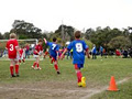 Tenambit Sharks FC image 4