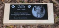 Toowoomba Pet Funerals image 2