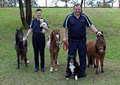 Toowoomba's Pet & Equine Crematorium image 4