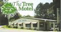 Tree Motel image 5