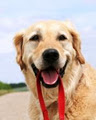Walktime image 1