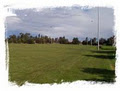 Werribee Obedience Dog Club Inc. image 3